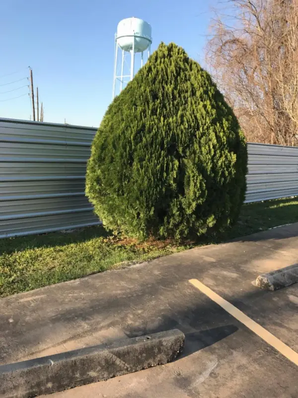 Moonlight Inn & Suites 7